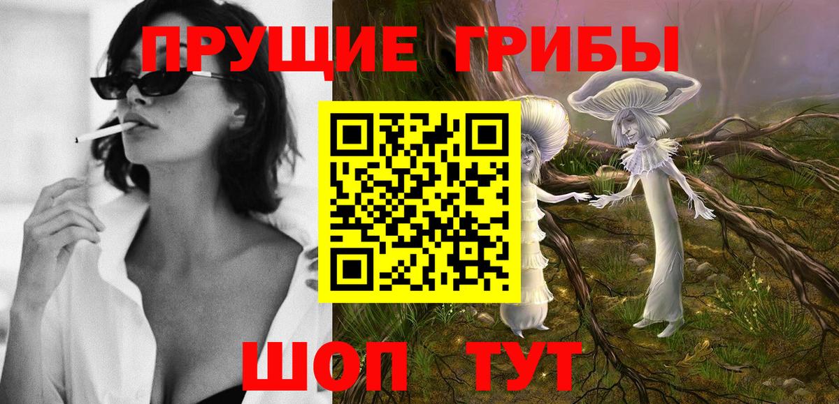 Галлюциногенные грибы Psilocybine cubensis Оренбург